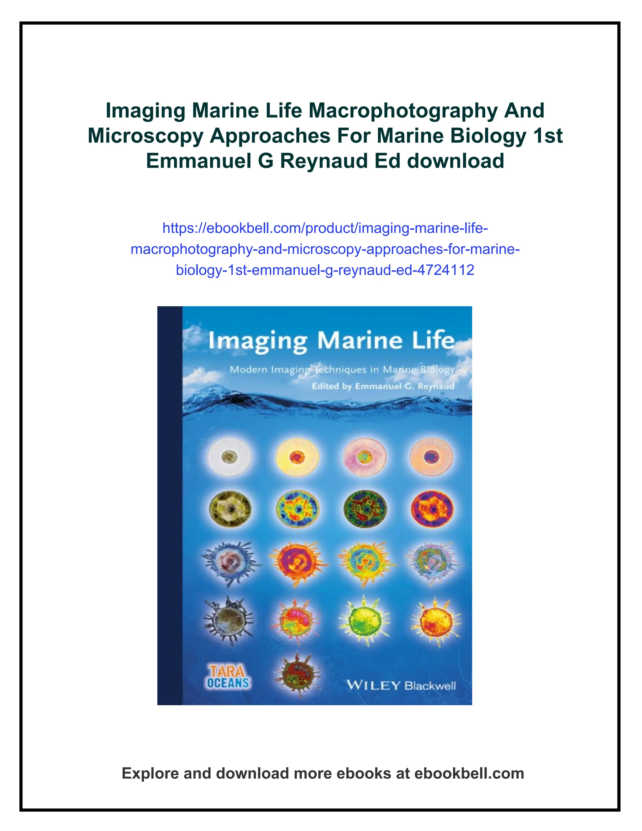 Imaging Marine Life Macrophotography And Microscopy Approaches For ...