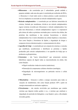 Escola Superior de Enfermagem da Guarda ________________________________
__________________________________________________________ Microbiologia
• Ribossomas – são constituídos por 2 subunidades: grande unidade e
pequena unidade; cada uma das quais é constituída por moléculas de RNAr;
o ribossoma é o local onde ocorre a síntese proteica e pode encontrar-se
livre no citoplasma ou associado ao retículo endoplasmático rugoso;
• Retículo endoplasmático – é constituído por um labirinto intracelular de
cisterna, limitado por membranas; divide-se em retículo endoplasmático
rugoso (cisterna revestida por ribossomas) e retículo endoplasmático liso
(não tem ribossomas); o retículo endoplasmático rugoso é o responsável
pela síntese de todas as proteínas secretadas para o exterior das células, das
proteínas das membranas e das enzimas lisossómicas; o retículo
endoplasmático liso é muito abundante nas células hepáticas e musculares.
Tem como funções a biossíntese de lípidos, a degradação de drogas e
compostos tóxicos (desintoxicação) e o armazenamento de cálcio;
• Aparelho de Golgi – é constituído por um conjunto de cisternas e vesículas
que modificam, acondicionam e distribuem as proteínas e lípidos
produzidos pelo retículo endoplasmático; é no aparelho de Golgi que se
produzem as glicoproteínas;
• Lisossomas – são “sacos intracelulares” que armazenam enzimas
hidrolíticas capazes de digerir todas as macromoléculas da célula; têm
como funções:
• Digerir moléculas vindas do exterior (endocitose);
• Destruição de componentes celulares obsoletos (autofagia);
• Degradação de microorganismos ou partículas nocivas à célula
(fagocitose);
• Mitocôndrias – fornecem à célula a energia necessária para todas as
reacções do metabolismo; têm como função produzir ATP a partir de
energia armazenada nos nutrientes orgânicos;
• Peroxissomas – são sáculos envolvidos por membranas que contém
enzimas que digerem ácidos gordos e a.a., e enzimas que catalisam a
degradação do peróxido de hidrogénio; a sua função é, pois, a β-oxidação
de ácidos gordos.
_________________________ V Curso de Licenciatura _______________________
___________________________ 1.º ano/1.º semestre __________________________
13
 