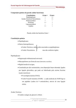 Escola Superior de Enfermagem da Guarda ________________________________
__________________________________________________________ Microbiologia
Composição química da parede celular bacteriana
Constituintes Gram + Gram -
Peptidoglicano + +/-
Ácidos Teicóicos/Teicurónicos + +/-
Polissacarídeos + -
Proteínas +/- +
Lipossacarídeos - +
Lípidos +/- +
Parede celular das bactérias Gram +
Constituição química
• Peptidoglicano;
• Outros heteropolímeros:
• Ácidos Teicóicos; ambos estão associados ao peptidoglicano
• Ácidos Teicurónicos. mas não conferem rigidez
Peptidoglicano
• Organização tridimensional universal;
• Macropolímero em forma de saco (muraina saculus);
• Rígido/insolúvel na água;
• Constituído por dois aminoácidos, com disposição linear alternada, ligados
por ligação glicosídica, que pode ser hidrolisada pela enzima lisozima
(acção mureínica):
• N-acetilglucosamina (NAG);
• Acido N-acetil muranico (NAM) – a cada molécula de NAM liga-se
um peptídeo (cadeia de 4 aminoácidos), através de uma ligação
amina.
Ácidos Teicóicos
• Contêm vestígios de glicerol e ribitol;
_________________________ V Curso de Licenciatura _______________________
___________________________ 1.º ano/1.º semestre __________________________
30
 