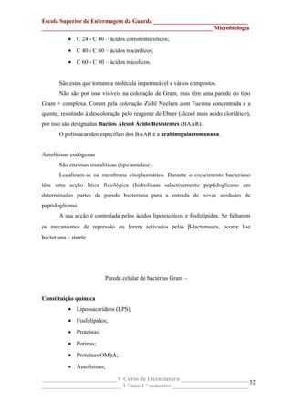 Escola Superior de Enfermagem da Guarda ________________________________
__________________________________________________________ Microbiologia
• C 24 - C 40 – ácidos corionomicolicos;
• C 40 - C 60 – ácidos nocardicos;
• C 60 - C 80 – ácidos micolicos.
São estes que tornam a molécula impermeável a vários compostos.
Não são por isso visíveis na coloração de Gram, mas têm uma parede do tipo
Gram + complexa. Coram pela coloração Ziehl Neelsen com Fucsina concentrada e a
quente, resistindo à descoloração pelo reagente de Ebner (álcool mais acido clorídrico),
por isso são designadas Bacilos Álcool Ácido Resistentes (BAAR).
O polissacarídeo específico dos BAAR é a arabinogalactomanana.
Autolisinas endógenas
São enzimas muralíticas (tipo amidase).
Localizam-se na membrana citoplasmática. Durante o crescimento bacteriano
têm uma acção lítica fisiológica (hidrolisam selectivamente peptidoglicano em
determinadas partes da parede bacteriana para a entrada de novas unidades de
peptidoglicano.
A sua acção é controlada pelos ácidos lipoteicóicos e fosfolípidos. Se falharem
os mecanismos de repressão ou forem activados pelas β-lactamases, ocorre lise
bacteriana – morte.
Parede celular de bactérias Gram –
Constituição química
• Lipossacarídeos (LPS);
• Fosfolípidos;
• Proteínas;
• Porinas;
• Proteínas OMpA;
• Autolisinas;
_________________________ V Curso de Licenciatura _______________________
___________________________ 1.º ano/1.º semestre __________________________
32
 
