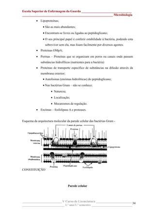 Escola Superior de Enfermagem da Guarda ________________________________
__________________________________________________________ Microbiologia
• Lipoproteínas;
• São as mais abundantes;
• Encontram-se livres ou ligadas ao peptidoglicano;
• O seu principal papel é conferir estabilidade à bactéria, podendo esta
sobreviver sem ela, mas lisam facilmente por diversos agentes.
• Proteínas OMpA;
• Porinas – Proteínas que se organizam em poros ou canais onde passam
substâncias hidrofílicas (nutrientes para a bactéria)
• Proteínas de transporte específico de substâncias na difusão através da
membrana exterior;
• Autolisinas (enzimas hidrolíticas) do peptidoglicano;
• Nas bactérias Gram – não se conhece:
• Natureza;
• Localização;
• Mecanismos de regulação.
• Enzimas – fosfolipase A e proteases.
Esquema da arquitectura molecular da parede celular das bactérias Gram -
CONSTITUIÇÃO
Parede celular
_________________________ V Curso de Licenciatura _______________________
___________________________ 1.º ano/1.º semestre __________________________
34
 