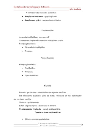 Escola Superior de Enfermagem da Guarda ________________________________
__________________________________________________________ Microbiologia
• Impermeável a moléculas hidrófobas.
• Funções de biossíntese – peptidoglicano;
• Funções energéticas – metabolismo oxidativo.
Enterobactérias
A camada fosfolipídica é impermeável.
A membrana citoplasmática envolve o citoplasma celular.
Composição química:
• Bicamada de fosfolípidos;
• Proteínas.
Archaeobactérias
Composição química:
• Fosfolípidos;
• Proteínas;
• Lípidos especiais.
Cápsula
Estrutura que envolve a parede celular em algumas bactérias.
Por microscopia electrónica (tinta da china), verifica-se um halo transparente
que envolve a bactéria.
Natureza – polissacarídeo
Retém a água e impede a dissecação da bactéria.
Confere grande virulência – cápsula antifagocitária.
Estruturas intracitoplasmáticas
• Visíveis em microscopia óptica;
_________________________ V Curso de Licenciatura _______________________
___________________________ 1.º ano/1.º semestre __________________________
36
 