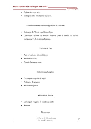 Escola Superior de Enfermagem da Guarda ________________________________
__________________________________________________________ Microbiologia
• Colorações especiais;
• Estão presentes em algumas espécies.
Granulações metacromáticas (grânulos de volutina)
• Coloração de Albert – azul de metileno;
• Constituem reserva de fósforo essencial para a síntese de ácidos
nucleicos e Fosfolípidos da bactéria.
Vacúolos de Gaz
• Para as bactérias fotossintéticas;
• Reserva de azoto;
• Permite flutuar na água.
Grânulos de glicogénio
• Coram pelo reagente de lugol;
• Polímeros de glucose;
• Reserva energética.
Grânulos de lípidos
• Coram pelo reagente de negrão de sudão;
• Reserva.
Ribossomas
_________________________ V Curso de Licenciatura _______________________
___________________________ 1.º ano/1.º semestre __________________________
37
 