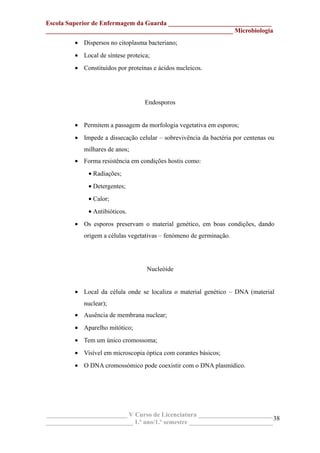 Escola Superior de Enfermagem da Guarda ________________________________
__________________________________________________________ Microbiologia
• Dispersos no citoplasma bacteriano;
• Local de síntese proteica;
• Constituídos por proteínas e ácidos nucleicos.
Endosporos
• Permitem a passagem da morfologia vegetativa em esporos;
• Impede a dissecação celular – sobrevivência da bactéria por centenas ou
milhares de anos;
• Forma resistência em condições hostis como:
• Radiações;
• Detergentes;
• Calor;
• Antibióticos.
• Os esporos preservam o material genético, em boas condições, dando
origem a células vegetativas – fenómeno de germinação.
Nucleóide
• Local da célula onde se localiza o material genético – DNA (material
nuclear);
• Ausência de membrana nuclear;
• Aparelho mitótico;
• Tem um único cromossoma;
• Visível em microscopia óptica com corantes básicos;
• O DNA cromossómico pode coexistir com o DNA plasmídico.
_________________________ V Curso de Licenciatura _______________________
___________________________ 1.º ano/1.º semestre __________________________
38
 