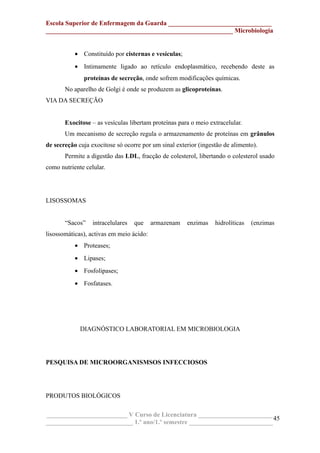 Escola Superior de Enfermagem da Guarda ________________________________
__________________________________________________________ Microbiologia
• Constituído por cisternas e vesículas;
• Intimamente ligado ao retículo endoplasmático, recebendo deste as
proteínas de secreção, onde sofrem modificações químicas.
No aparelho de Golgi é onde se produzem as glicoproteínas.
VIA DA SECREÇÃO
Exocitose – as vesículas libertam proteínas para o meio extracelular.
Um mecanismo de secreção regula o armazenamento de proteínas em grânulos
de secreção cuja exocitose só ocorre por um sinal exterior (ingestão de alimento).
Permite a digestão das LDL, fracção de colesterol, libertando o colesterol usado
como nutriente celular.
LISOSSOMAS
“Sacos” intracelulares que armazenam enzimas hidrolíticas (enzimas
lisossomáticas), activas em meio ácido:
• Proteases;
• Lipases;
• Fosfolipases;
• Fosfatases.
DIAGNÓSTICO LABORATORIAL EM MICROBIOLOGIA
PESQUISA DE MICROORGANISMSOS INFECCIOSOS
PRODUTOS BIOLÓGICOS
_________________________ V Curso de Licenciatura _______________________
___________________________ 1.º ano/1.º semestre __________________________
45
 