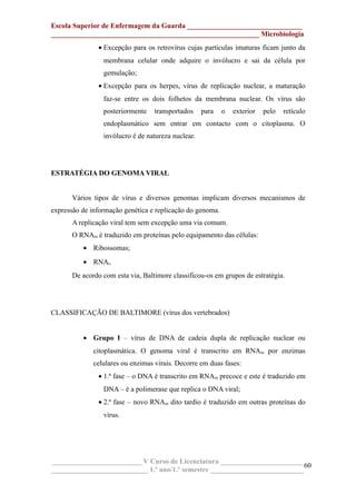 Escola Superior de Enfermagem da Guarda ________________________________
__________________________________________________________ Microbiologia
• Excepção para os retrovírus cujas partículas imaturas ficam junto da
membrana celular onde adquire o invólucro e sai da célula por
gemulação;
• Excepção para os herpes, vírus de replicação nuclear, a maturação
faz-se entre os dois folhetos da membrana nuclear. Os vírus são
posteriormente transportados para o exterior pelo retículo
endoplasmático sem entrar em contacto com o citoplasma. O
invólucro é de natureza nuclear.
ESTRATÉGIA DO GENOMA VIRAL
Vários tipos de vírus e diversos genomas implicam diversos mecanismos de
expressão de informação genética e replicação do genoma.
A replicação viral tem sem excepção uma via comum.
O RNAm é traduzido em proteínas pelo equipamento das células:
• Ribossomas;
• RNAt.
De acordo com esta via, Baltimore classificou-os em grupos de estratégia.
CLASSIFICAÇÃO DE BALTIMORE (vírus dos vertebrados)
• Grupo I – vírus de DNA de cadeia dupla de replicação nuclear ou
citoplasmática. O genoma viral é transcrito em RNAm por enzimas
celulares ou enzimas virais. Decorre em duas fases:
• 1.ª fase – o DNA é transcrito em RNAm precoce e este é traduzido em
DNA – é a polimerase que replica o DNA viral;
• 2.ª fase – novo RNAm dito tardio é traduzido em outras proteínas do
vírus.
_________________________ V Curso de Licenciatura _______________________
___________________________ 1.º ano/1.º semestre __________________________
60
 