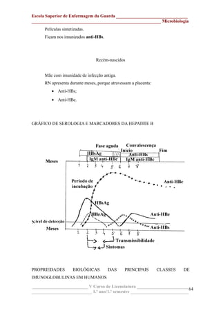 Escola Superior de Enfermagem da Guarda ________________________________
__________________________________________________________ Microbiologia
Películas sintetizadas.
Ficam nos imunizados anti-HBs.
Recém-nascidos
Mãe com imunidade de infecção antiga.
RN apresenta durante meses, porque atravessam a placenta:
• Anti-HBs;
• Anti-HBe.
GRÁFICO DE SEROLOGIA E MARCADORES DA HEPATITE B
PROPRIEDADES BIOLÓGICAS DAS PRINCIPAIS CLASSES DE
IMUNOGLOBULINAS EM HUMANOS
_________________________ V Curso de Licenciatura _______________________
___________________________ 1.º ano/1.º semestre __________________________
64
 
