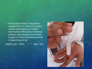 • Filtrat pada Endapan II dipisahkan
sebagai Filtrat III. Filtrat ini mungkin
mengandung Ag(NH3)2Cl. Ketika
ditambahkan HNO3 encer terbentuk
endapan AgCl yang berwarna putih.
Dengan ini sampel dinyatakan positif
mengandung ion Ag+.
[Ag(NH3)2]Cl + HNO3 AgCl + NH3
 