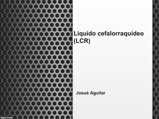 Liquido cefalorraquídeo
(LCR)




Josué Aguilar
 
