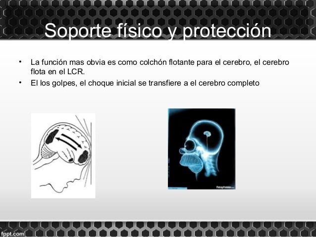 Caracteristicas Fisicas Del Liquido Cefalorraquideo Pdf