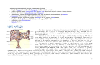 Blood performs many important functions within the body including:
• Supply of oxygen to tissues (bound to hemoglobin which is carried in red cells)
• Supply of nutrients such as glucose, amino acids and fatty acids (dissolved in the blood or bound to plasma proteins)
• Removal of waste such as carbon dioxide, urea and lactic acid
• Immunological functions, including circulation of white cells, and detection of foreign material by antibodies
• Coagulation, which is one part of the body's self-repair mechanism
• Messenger functions, including the transport of hormones and the signaling of tissue damage
• Regulation of body pH (the normal pH of blood is in the range of 7.35 - 7.45)
• Regulation of core body temperature
• Hydraulic functions
BONE MARROW
T h e b o n e m a r r o w i s t h e s i t e o f h e m a t o p o i e s i s o r b l o o d c e l l f o r m a t i o n . A l l
s k e l e t a l b o n e s a r e i n v o l v e d i n c h i l d r e n , b u t a s c h i l d r e n a g e , m a r r o w a c t i v i t y
d e c r e a s e s . M a r r o w a c t i v i t y i s u s u a l l y l i m i t e d t o t h e p e l v i s , r i b s , v e r t e b r a e , a n d
s t e r n u m i n a d u l t s .
M a r r o w i s o n e o f t h e l a r g e s t o r g a n s o f t h e b o d y m a k i n g u p 4 % - 5 % o f
t o t a l b o d y w e i g h t . I t c o n s i s t s o f i s l a n d o f c e l l u l a r c o m p o n e n t s ( r e d m a r r o w )
s e p a r a t e d b y f a t ( ye l l o w m a r r o w ) . A s t h e a d u l t a g e s , t h e p r o p o r t i o n o f a c t i v e
m a r r o w i s g r a d u a l l y r e p l a c e d b y f a t , h o w e v e r i n h e a l t h y p e r s o n , t h e f a t c a n
a g a i n r e p l a c e d b y a c t i v e m a r r o w w h e n m o r e b l o o d c e l l p r o d u c t i o n i s r e q u i r e d .
T h e m a r r o w i s h i g h l y v a s c u l a r . W i t h i n i t a r e p r i m i t i v e c e l l s c a l l e d s t e m
c e l l s . T h e s t e m c e l l s h a v e t h e a b i l i t y t o s e l f - r e p l i c a t e , t h e r e b y e n s u r i n g a
c o n t i n u o u s s u p p l y o f s t e m c e l l s c a n b e g i n a p r o c e s s o f d i f f e r e n t i a t i o n i n t o
e i t h e r m y e l o i d o r l y m p h o i d s t e m c e l l s . T h e s e s t e m c e l l s c o m m i t t e d t o p r o d u c e
s p e c i f i c t yp e s o f b l o o d c e l l s . L ym p h o i d s t e m c e l l s p r o d u c e e i t h e r T o r B
l ym p h o c yt e s . M ye l o i d s t e m c e l l s d i f f e r e n t i a t e i n t o t h r e e b r o a d c e l l t yp e s : e r yt h r o c yt e s , l e u k o c yt e s a n d p l a t e l e t s .
T h u s , w i t h t h e e x c e p t i o n o f l ym p h o c yt e s , a l l b l o o d c e l l s a r e d e r i v e d f r o m m ye l o i d s t e m c e l l s . A d e f e c t i n a m ye l o i d
s t e m c e l l c a n c a u s e p r o b l e m s w i t h e r yt h r o c yt e , l e u k o c yt e , a n d p l a t e l e t p r o d u c t i o n . M a n y c o m p l e x m e c h a n i s m s a r e
i n v o l v e d i n h e m a t o p o i e s i s , o f t e n a t t h e m o l e c u l a r l e v e l .
2 8
 
