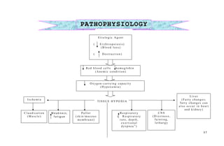 T I S S U E H Y P O X I A
3 7
PATHOPHYSIOLOGYPATHOPHYSIOLOGY
E t i o l o g i c A g e n t
( E r yh t r o p o i e s i s )
( B l o o d l o s s )
( D e s t r u c t i o n )
R e d b l o o d c e l l s h e m o g l o b i n
( A n e m i c c o n d i t i o n )
O x yg e n - c a r r yi n g c a p a c i t y
( H yp o x e m i a )
I s c h e m i a
L i v e r
( F a t t y c h a n g e s ;
f a t t y c h a n g e s c a n
a l s o o c c u r i n h e a r t
a n d k i d n e y)
W e a k n e s s ,
f a t i g u e
P a l l o r
( s k i n / m u c o u s
m e m b r a n e )
R e s p i r a t o r y
( R e s p i r a t o r y
r a t e , d e p t h ,
e x e r t i o n a l
d ys p n e a ” )
C N S
( D i z z i n e s s ,
f a i n t i n g ,
l e t h a r g y
C l a u d i c a t i o n
( M u s c l e )
 