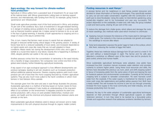 Agro-ecology: the way forward for climate-resilient                                        Pooling resources in east Kenya18
food production17                                                                          A pioneer farmer and his neighbours in east Kenya pooled resources and
Agriculture in Africa suffers from a persistent lack of investment. It’s an issue both     decided to share information on farming technologies. They specifically wanted
at the national level, with African governments cutting back on farming support            to carry out soil and water conservation, together with the construction of an
services, and internationally, with funding from the EU, for example, going more to        earth pan to store floodwater. Using the water, he tried kitchen gardening using
‘governance’ and ‘infrastructure’.                                                         bucket-drip irrigation next to his homestead and was very successful. The
                                                                                           project depended on the availability of water and, with help, the group installed
Small-scale agriculture provides most of the food produced in Africa, and employs          a well and hand pump, sharing 50 per cent of the cost.
70 per cent of the workforce. But a lack of investment in drought-resistant farming
is in danger of creating serious problems for its ability to adapt in a warming world.     To reduce the damage from chafer grubs, which attack and damage the roots
Just as financial investors spread risk, it makes sense for farmers to do so as well       of maize seedlings, two methods were used which involved no chemicals:
in the face of global warming. A diversity of both approaches to cropping and to a
range of crops is the way to achieve that.                                                 b   Applying manure increases the tolerance of the maize plant to damage from
                                                                                               chafer grubs. The nutrients in the manure accelerate root growth and enable
This, in turn, means that farmers need access to seeds that are adapted to                     the seedlings to recover after attack.
drought or reduced rainfall during critical stages in the growing season. A variety of
forces have led to a reduced availability of local seeds, and increased dependence         b   Early land preparation exposes the grubs’ eggs to heat on the surface, which
on hybrid seeds and crops like maize that are not well adapted to these                        kills them, reducing the number of eggs that hatch.
conditions. Maize needs rain during the development of the cobs, and a gap in
rainfall at a crucial time leads to crop failure. Exactly this is happening in Zambia in   Together, these two methods reduce damage from 50 per cent to a mere 5–10
2005, despite plentiful rain earlier in the rainy season.                                  per cent without a biotechnologist in sight. The farmer and his wife also
                                                                                           attended a workshop on different uses of the neem tree and its products for
Another pressure comes from the concentration of ownership in the seed industry            pest control, animal and human health.
into a handful of large corporations. Ten companies now control one-third of the
global seed industry, further threatening agricultural biodiversity.                       Since sustainable agricultural techniques were adopted, crop yields have
                                                                                           increased four-fold. Livestock manure increases water retention and provides
A key aspect of an agro-ecological approach is how different developments can              nutrients to achieve higher yields. Using these local resources and skills, the
produce synergies, leading to win-win situations such as increased production              farmers have discarded the previous cut, burn, plant, and shift cropping system
without additional external resources. Diverse cropping systems yield much more            in favour of increasing yields from the same piece of land and leaving the rest
produce per unit of land than the mono-cropping favoured by ‘modern’ agricultural          for livestock pasture and environmental conservation. Currently all the farmer’s
systems. They are also much more suited to the harsh conditions in which most              cropping land is subject to rainwater conservation. He even harvests runoff
farmers in Sub-Saharan Africa operate.                                                     water from the roadside. If the water supply is maintained he intends to grow
                                                                                           more cash crops like watermelons and grafted yellow passion fruit. Both have
The example given from the semi-arid area in east Kenya illustrates the process.           a ready market. This will increase his income to see his son through university,
Sustainable agriculture is a method of farming based on human needs for food,              increase the food supply to the local community and hotel industry, and also
income, shelter, and fuelwood. It also builds an understanding of the long-term            increase productivity from his land.
effect of our activities on the environment. It integrates practices for plant and
animal production, with a focus on pest predator relationships, moisture and               However, the key to the wider adoption of sustainable agricultural techniques
plants, soil health and the chemical and physical relationship between plants and          depends on their promotion through official agricultural support, so called
animals on the farm.                                                                       ‘extension services’. In turn they need to be backed by a favourable policy
                                                                                           climate and supportive research that addresses problems identified by farmers.
Most sustainable agricultural initiatives seek to reduce soil erosion and to make
improvements to the soil’s physical structure through its organic matter content,


Africa – Up in smoke?                                                                 8
 