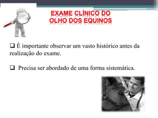 EXAME CLÍNICO DO
OLHO DOS EQUINOS
 É importante observar um vasto histórico antes da
realização do exame.
 Precisa ser abordado de uma forma sistemática.
 