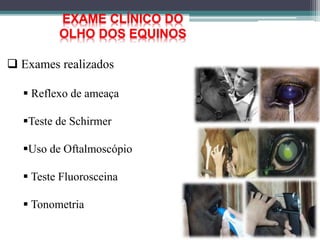  Exames realizados
 Reflexo de ameaça
Teste de Schirmer
Uso de Oftalmoscópio
 Teste Fluorosceina
 Tonometria
EXAME CLÍNICO DO
OLHO DOS EQUINOS
 