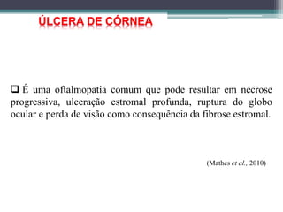  É uma oftalmopatia comum que pode resultar em necrose
progressiva, ulceração estromal profunda, ruptura do globo
ocular e perda de visão como consequência da fibrose estromal.
(Mathes et al., 2010)
ÚLCERA DE CÓRNEA
 