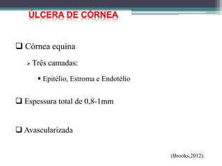 ÚLCERA DE CÓRNEA
 Córnea equina
 Três camadas:
 Epitélio, Estroma e Endotélio
 Espessura total de 0,8-1mm
 Avascularizada
(Brooks,2012).
 