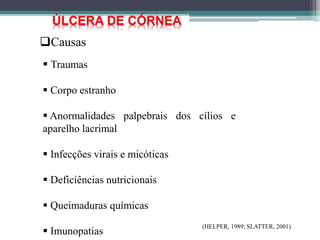 (HELPER, 1989; SLATTER, 2001)
ÚLCERA DE CÓRNEA
Causas
 Traumas
 Corpo estranho
 Anormalidades palpebrais dos cílios e
aparelho lacrimal
 Infecções virais e micóticas
 Deficiências nutricionais
 Queimaduras químicas
 Imunopatias
 