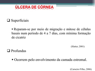  Superficiais
 Reparam-se por meio de migração e mitose de células
basais num período de 4 a 7 dias, com mínima formação
de cicatriz
ÚLCERA DE CÓRNEA
(Slatter, 2001)
 Profundas
 Ocorrem pelo envolvimento da camada estromal.
(Carneiro Filho, 2006)
 