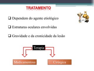TRATAMENTO
 Dependem do agente etiológico
 Estruturas oculares envolvidas
 Gravidade e da cronicidade da lesão
Terapia
Medicamentosa Cirúrgica
 