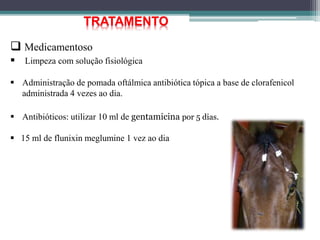 TRATAMENTO
 Medicamentoso
 Limpeza com solução fisiológica
 Administração de pomada oftálmica antibiótica tópica a base de clorafenicol
administrada 4 vezes ao dia.
 Antibióticos: utilizar 10 ml de gentamicina por 5 dias.
 15 ml de flunixin meglumine 1 vez ao dia
 