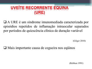UVEÍTE RECORRENTE EQUINA
(URE)
 A URE é um síndrome imunomediada caracterizada por
episódios repetidos de inflamação intraocular separados
por períodos de quiescência clínica de duração variável
 Mais importante causa de cegueira nos eqüinos
(Rebhun 1991)
(Gilger 2010)
 