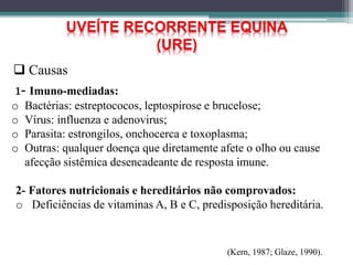 1- Imuno-mediadas:
o Bactérias: estreptococos, leptospirose e brucelose;
o Vírus: influenza e adenovirus;
o Parasita: estrongilos, onchocerca e toxoplasma;
o Outras: qualquer doença que diretamente afete o olho ou cause
afecção sistêmica desencadeante de resposta imune.
2- Fatores nutricionais e hereditários não comprovados:
o Deficiências de vitaminas A, B e C, predisposição hereditária.
 Causas
UVEÍTE RECORRENTE EQUINA
(URE)
(Kern, 1987; Glaze, 1990).
 