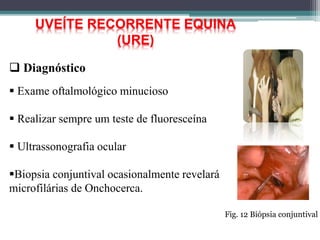  Diagnóstico
UVEÍTE RECORRENTE EQUINA
(URE)
 Exame oftalmológico minucioso
 Realizar sempre um teste de fluoresceína
 Ultrassonografia ocular
Biopsia conjuntival ocasionalmente revelará
microfilárias de Onchocerca.
Fig. 12 Biópsia conjuntival
 