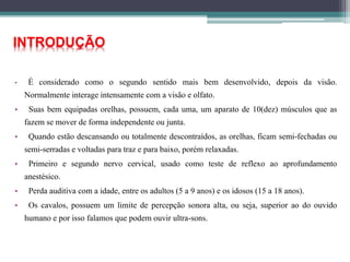 INTRODUÇÃO
• É considerado como o segundo sentido mais bem desenvolvido, depois da visão.
Normalmente interage intensamente com a visão e olfato.
• Suas bem equipadas orelhas, possuem, cada uma, um aparato de 10(dez) músculos que as
fazem se mover de forma independente ou junta.
• Quando estão descansando ou totalmente descontraídos, as orelhas, ficam semi-fechadas ou
semi-serradas e voltadas para traz e para baixo, porém relaxadas.
• Primeiro e segundo nervo cervical, usado como teste de reflexo ao aprofundamento
anestésico.
• Perda auditiva com a idade, entre os adultos (5 a 9 anos) e os idosos (15 a 18 anos).
• Os cavalos, possuem um limite de percepção sonora alta, ou seja, superior ao do ouvido
humano e por isso falamos que podem ouvir ultra-sons.
 