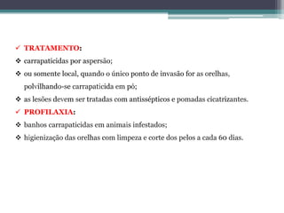  TRATAMENTO:
 carrapaticidas por aspersão;
 ou somente local, quando o único ponto de invasão for as orelhas,
polvilhando-se carrapaticida em pó;
 as lesões devem ser tratadas com antissépticos e pomadas cicatrizantes.
 PROFILAXIA:
 banhos carrapaticidas em animais infestados;
 higienização das orelhas com limpeza e corte dos pelos a cada 60 dias.
 