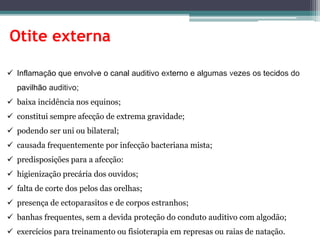 Otite externa
 Inflamação que envolve o canal auditivo externo e algumas vezes os tecidos do
pavilhão auditivo;
 baixa incidência nos equinos;
 constitui sempre afecção de extrema gravidade;
 podendo ser uni ou bilateral;
 causada frequentemente por infecção bacteriana mista;
 predisposições para a afecção:
 higienização precária dos ouvidos;
 falta de corte dos pelos das orelhas;
 presença de ectoparasitos e de corpos estranhos;
 banhas frequentes, sem a devida proteção do conduto auditivo com algodão;
 exercícios para treinamento ou fisioterapia em represas ou raias de natação.
 