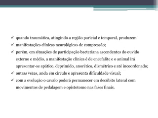  quando traumática, atingindo a região parietal e temporal, produzem
 manifestações clínicas neurológicas de compressão;
 porém, em situações de participação bacteriana ascendentes do ouvido
externo e médio, a manifestação clínica é de encefalite e o animal irá
apresentar-se apático, deprimido, anorético, dismétrico e até incoordenado;
 outras vezes, anda em círculo e apresenta dificuldade visual;
 com a evolução o cavalo poderá permanecer em decúbito lateral com
movimentos de pedalagem e opistotomo nas fases finais.
 