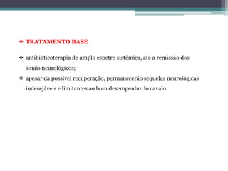  TRATAMENTO BASE
 antibioticoterapia de amplo espetro sistêmica, até a remissão dos
sinais neurológicos;
 apesar da possível recuperação, permanecerão sequelas neurológicas
indesejáveis e limitantes ao bom desempenho do cavalo.
 