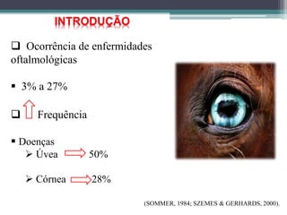 Ocorrência de enfermidades
oftalmológicas
 3% a 27%
INTRODUÇÃO
(SOMMER, 1984; SZEMES & GERHARDS, 2000).
 Frequência
 Doenças
 Úvea 50%
 Córnea 28%
 