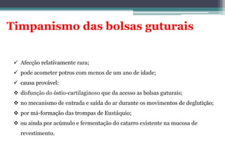 Timpanismo das bolsas guturais
 Afecção relativamente rara;
 pode acometer potros com menos de um ano de idade;
 causa provável:
 disfunção do óstio-cartilaginoso que da acesso as bolsas guturais;
 no mecanismo de entrada e saída do ar durante os movimentos de deglutição;
 por má-formação das trompas de Eustáquio;
 ou ainda por acúmulo e fermentação do catarro existente na mucosa de
revestimento.
 