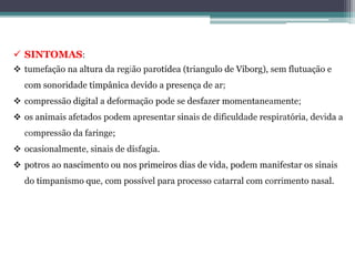 SINTOMAS:
 tumefação na altura da região parotídea (triangulo de Viborg), sem flutuação e
com sonoridade timpânica devido a presença de ar;
 compressão digital a deformação pode se desfazer momentaneamente;
 os animais afetados podem apresentar sinais de dificuldade respiratória, devida a
compressão da faringe;
 ocasionalmente, sinais de disfagia.
 potros ao nascimento ou nos primeiros dias de vida, podem manifestar os sinais
do timpanismo que, com possível para processo catarral com corrimento nasal.
 