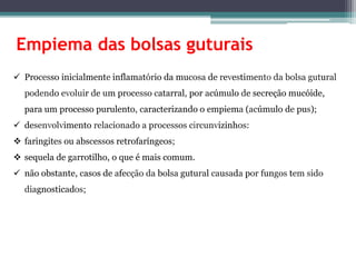 Empiema das bolsas guturais
 Processo inicialmente inflamatório da mucosa de revestimento da bolsa gutural
podendo evoluir de um processo catarral, por acúmulo de secreção mucóide,
para um processo purulento, caracterizando o empiema (acúmulo de pus);
 desenvolvimento relacionado a processos circunvizinhos:
 faringites ou abscessos retrofaríngeos;
 sequela de garrotilho, o que é mais comum.
 não obstante, casos de afecção da bolsa gutural causada por fungos tem sido
diagnosticados;
 