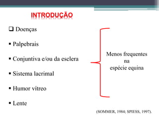 INTRODUÇÃO
 Doenças
 Palpebrais
 Conjuntiva e/ou da esclera
 Sistema lacrimal
 Humor vítreo
 Lente
(SOMMER, 1984; SPIESS, 1997).
Menos frequentes
na
espécie equina
 