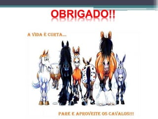 OBRIGADO!!
 