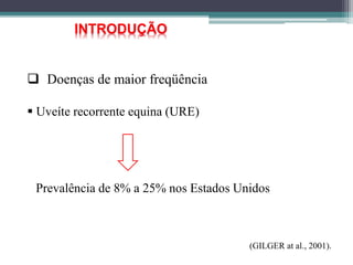  Doenças de maior freqüência
 Uveíte recorrente equina (URE)
Prevalência de 8% a 25% nos Estados Unidos
INTRODUÇÃO
(GILGER at al., 2001).
 