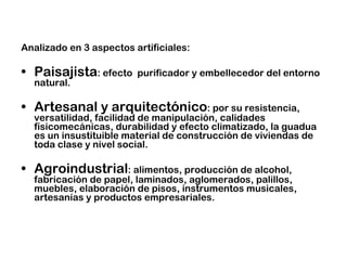 Analizado en 3 aspectos artificiales: Paisajista : efecto  purificador y embellecedor del entorno natural. Artesanal y arquitectónico : por su resistencia, versatilidad, facilidad de manipulación, calidades físicomecánicas, durabilidad y efecto climatizado, la guadua es un insustituible material de construcción de viviendas de toda clase y nivel social. Agroindustrial : alimentos, producción de alcohol, fabricación de papel, laminados, aglomerados, palillos, muebles, elaboración de pisos, instrumentos musicales, artesanías y productos empresariales. 