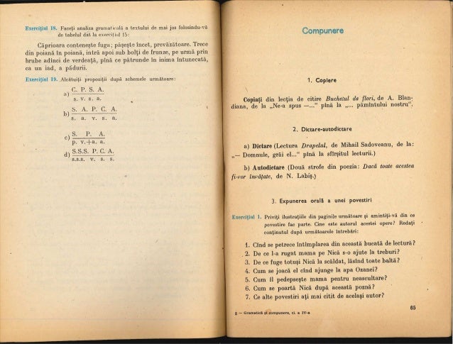 237427913 Gramatica Iv 1986