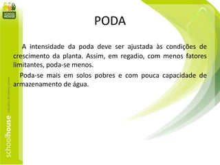 PODA
A intensidade da poda deve ser ajustada às condições de
crescimento da planta. Assim, em regadio, com menos fatores
limitantes, poda-se menos.
Poda-se mais em solos pobres e com pouca capacidade de
armazenamento de água.
 