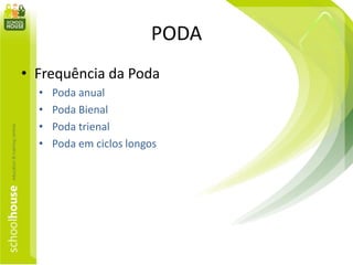 PODA
• Frequência da Poda
• Poda anual
• Poda Bienal
• Poda trienal
• Poda em ciclos longos
 