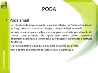 PODA
• Poda anual
•Em olival adulto deve-se manter a mesma relação raiz/parte aérea (copa)
ao longo dos anos, isto só se consegue com podas ligeiras anuais.
• A poda anual prepara melhor a árvore para a colheita por vibração do
tronco. Uma estrutura fixa rígida com ramos curtos, renovados
anualmente, melhora a transmissão da vibração e incrementa o derrube
dos frutos.
•O principio desta é um reduzido numero de cortes por árvore.
•Tem o contra de aumentar os custos anuais de produção.
 