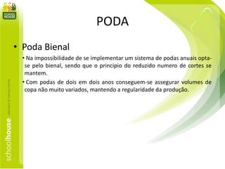 PODA
• Poda Bienal
• Na impossibilidade de se implementar um sistema de podas anuais opta-
se pelo bienal, sendo que o principio do reduzido numero de cortes se
mantem.
• Com podas de dois em dois anos conseguem-se assegurar volumes de
copa não muito variados, mantendo a regularidade da produção.
 