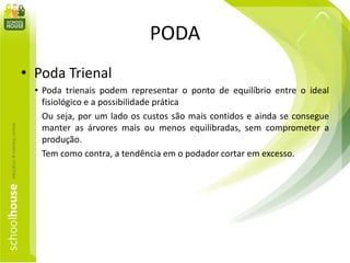 PODA
• Poda Trienal
• Poda trienais podem representar o ponto de equilíbrio entre o ideal
fisiológico e a possibilidade prática
Ou seja, por um lado os custos são mais contidos e ainda se consegue
manter as árvores mais ou menos equilibradas, sem comprometer a
produção.
Tem como contra, a tendência em o podador cortar em excesso.
 