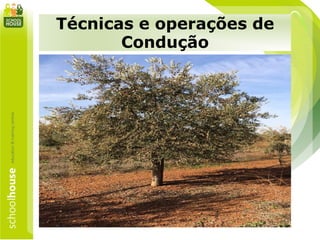 Técnicas e operações de
Condução
 