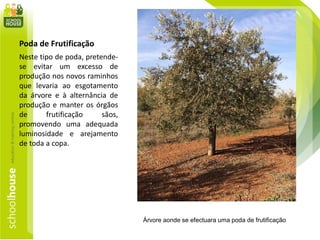 Poda de Frutificação
Neste tipo de poda, pretende-
se evitar um excesso de
produção nos novos raminhos
que levaria ao esgotamento
da árvore e à alternância de
produção e manter os órgãos
de frutificação sãos,
promovendo uma adequada
luminosidade e arejamento
de toda a copa.
Árvore aonde se efectuara uma poda de frutificação
 