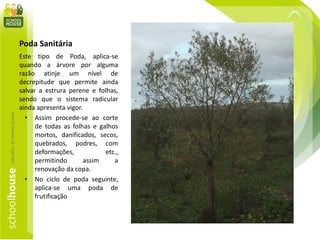 Poda Sanitária
Este tipo de Poda, aplica-se
quando a árvore por alguma
razão atinje um nível de
decrepitude que permite ainda
salvar a estrura perene e folhas,
sendo que o sistema radicular
ainda apresenta vigor.
• Assim procede-se ao corte
de todas as folhas e galhos
mortos, danificados, secos,
quebrados, podres, com
deformações, etc.,
permitindo assim a
renovação da copa.
• No ciclo de poda seguinte,
aplica-se uma poda de
frutificação
 